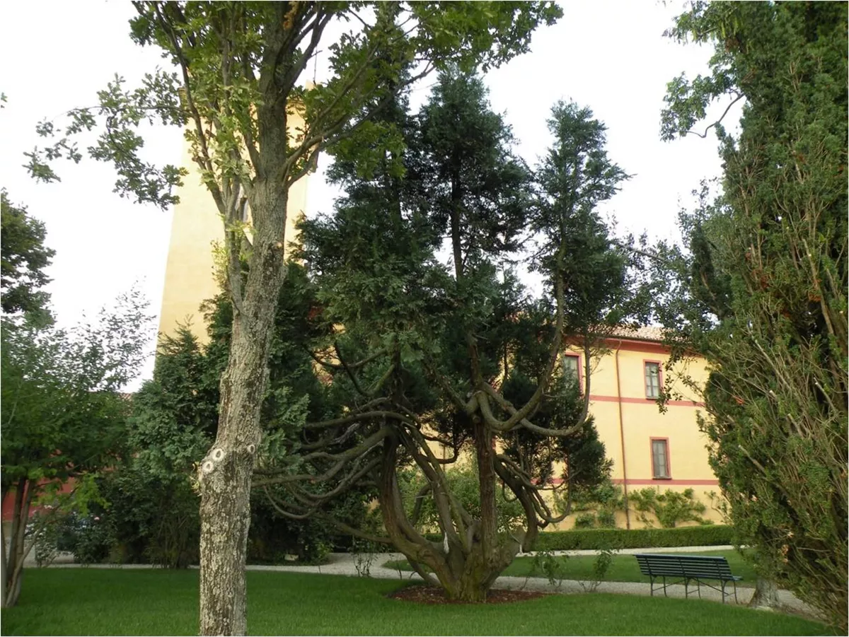 CASTELLO DI PONZANO