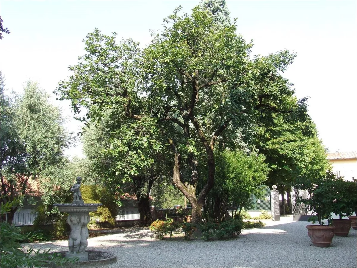 DIMORA AL SAGITTARIO