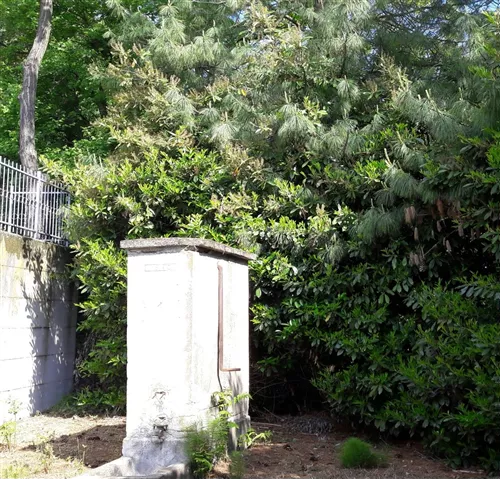 Fontane