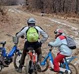 Domenica 12 Aprile 2026